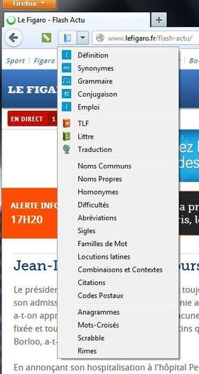 Intégration sous Firefox