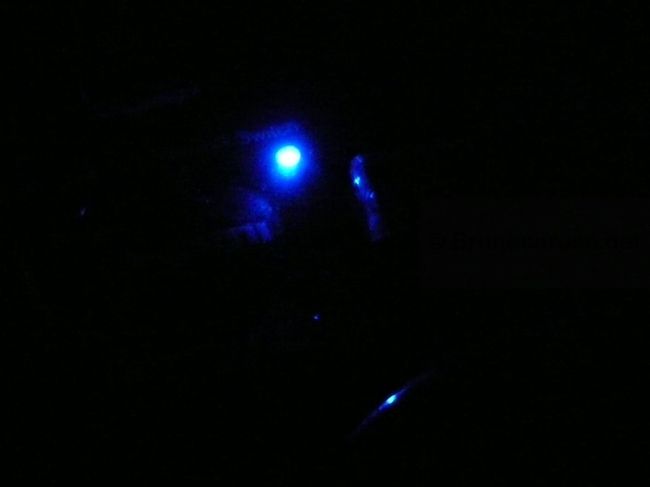 La lumière bleue la nuit...